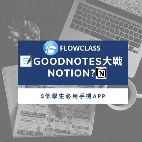 Goodnotes and notion